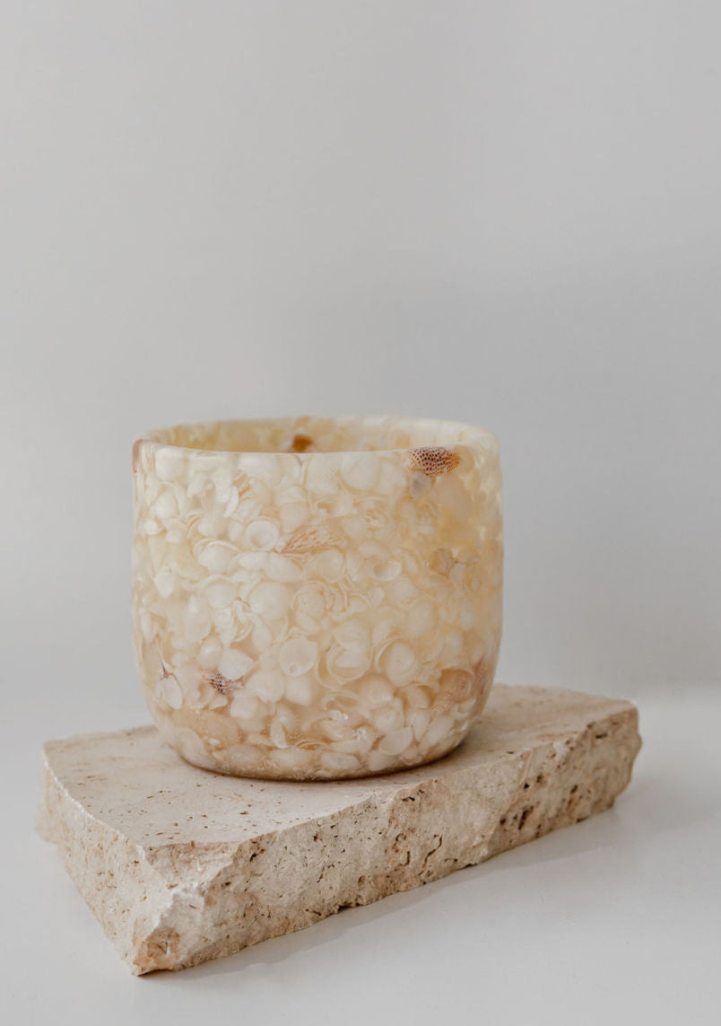 Shark Bay Shell Lantern