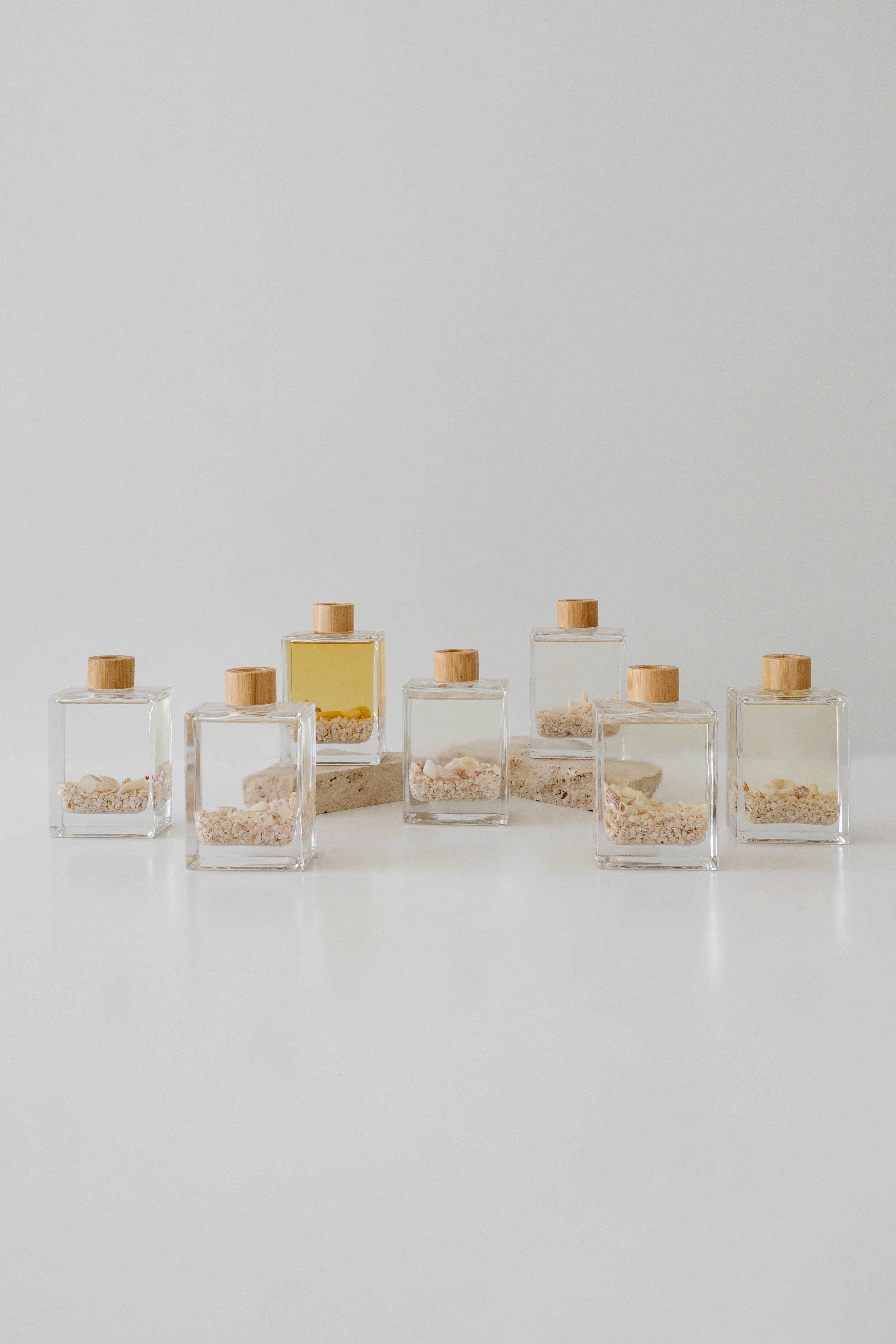 Shark Bay Shell Diffuser